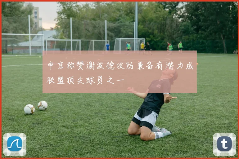 申京称赞谢泼德攻防兼备有潜力成联盟顶尖球员之一